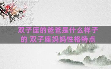 双子座的爸爸是什么样子的 双子座妈妈性格特点